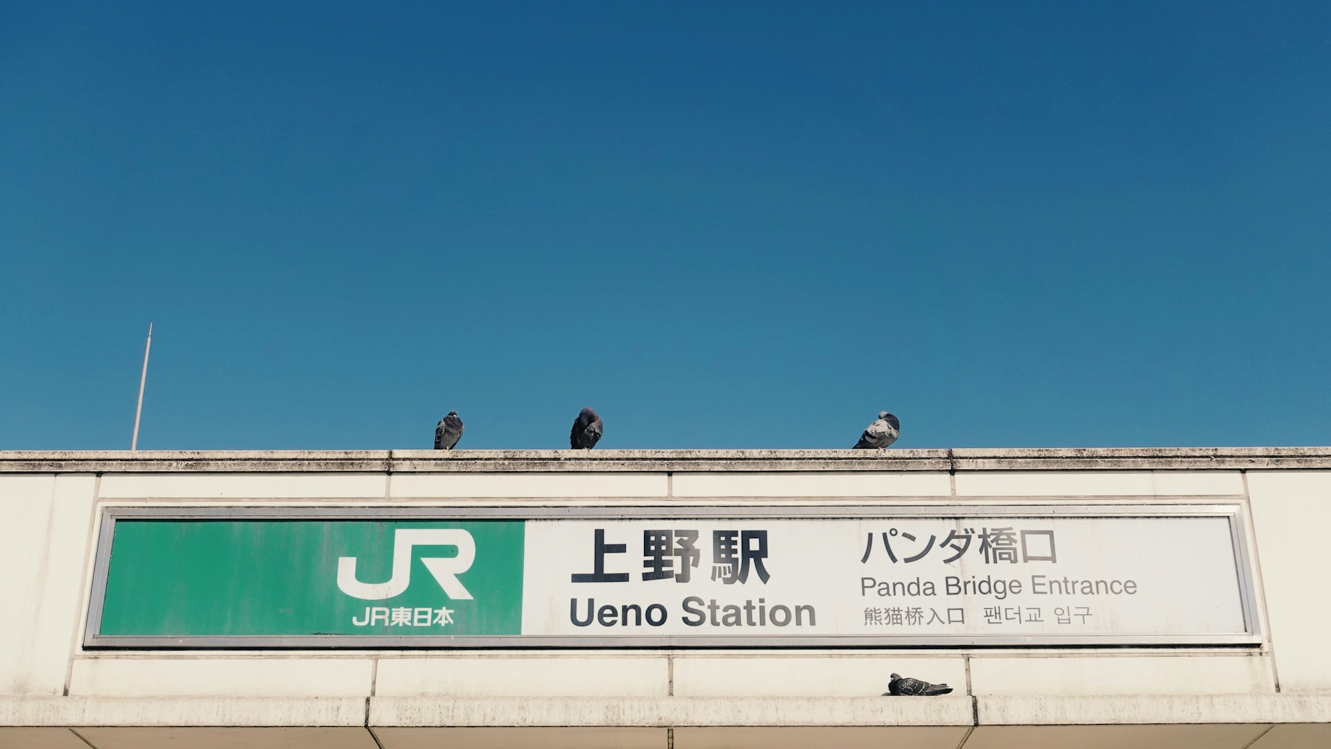 成田 から クリアランス 上野 バス